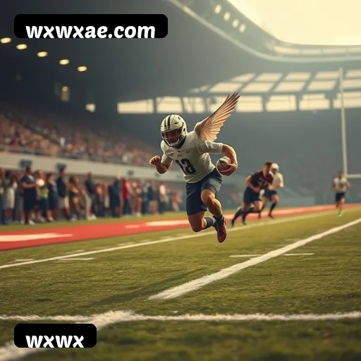 Estatísticas wxwx novembro 2024 - 87 mil jogadores ativos, R$47M pagos, RTP 96.52%